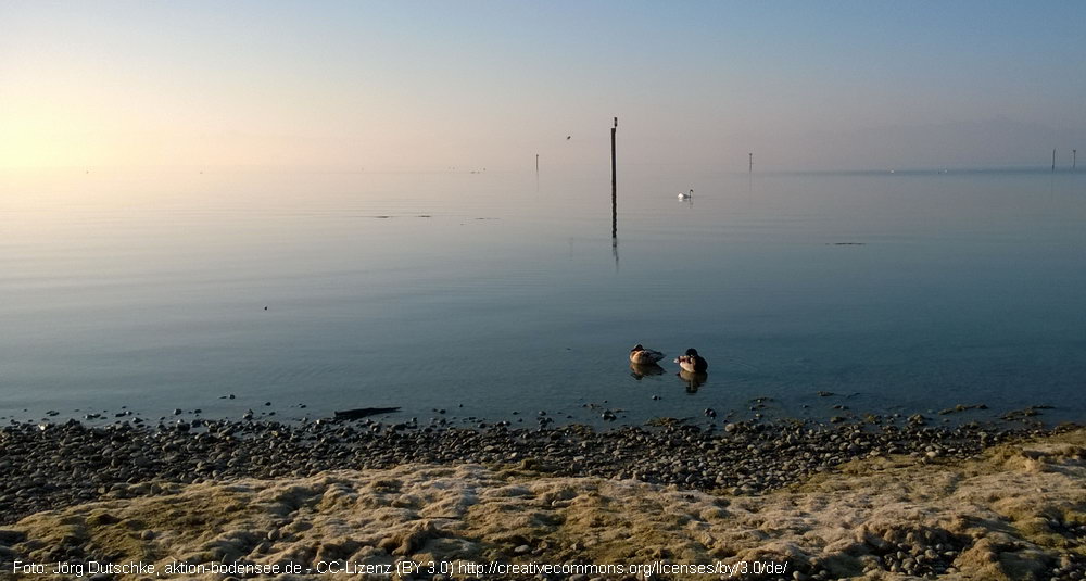 Auf dem Bodensee herrscht noch Ruhe und reinste Tiefenentspannung